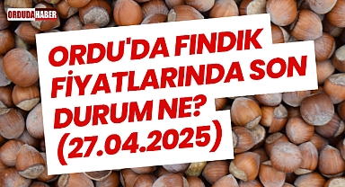 Ordu'da Fındık Fiyatlarında Son Durum Ne? (27.04.2025)