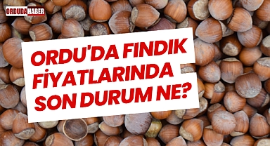Ordu'da Fındık Fiyatlarında Son Durum Ne?