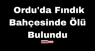 Ordu'da Fındık Bahçesinde Ölü Bulundu