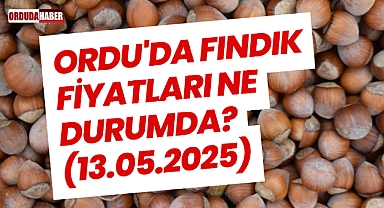 ORDU'DA FINDIK FİYATLARI NE DURUMDA? (13.05.2025)