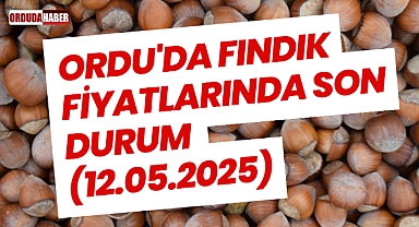 Ordu'da Fındık Fiyatlarında Son Durum (12.05.2025)