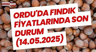 Ordu'da Fındık Fiyatlarında Son Durum (14.05.2025)