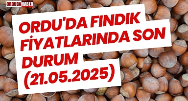 Ordu'da Fındık Fiyatlarında Son Durum (21.05.2025)