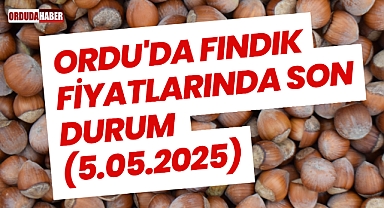 Ordu'da Fındık Fiyatlarında Son Durum (5.05.2025)