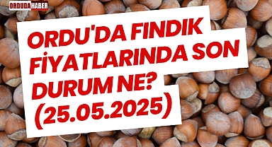 Ordu'da Fındık Fiyatlarında Son Durum Ne? (25.05.2025)