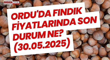 Ordu'da Fındık Fiyatlarında Son Durum Ne? (30.05.2025)