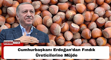 Cumhurbaşkanı Erdoğan’dan Fındık Üreticilerine Müjde