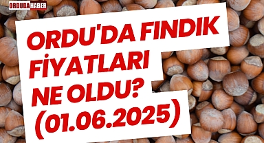 Ordu'da Fındık Fiyatları Ne Oldu? (01.06.2025)