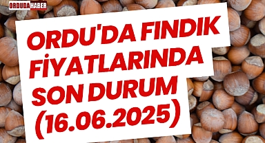 Ordu'da Fındık Fiyatlarında Düşüş Devam Ediyor (16.06.2025)