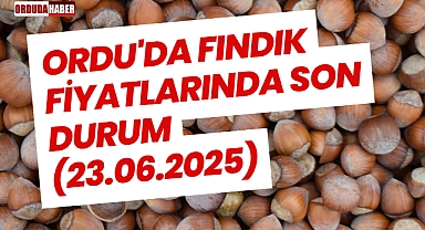 Ordu'da Fındık Fiyatlarında Son Durum(23.06.2025)