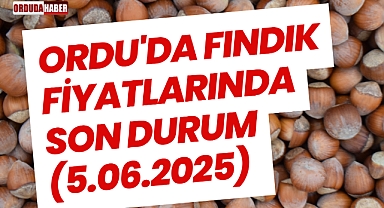 Ordu'da Fındık Fiyatlarında Son Durum (5.06.2025)