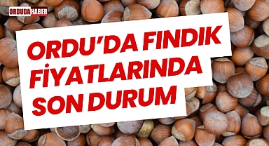 Ordu’da Fındık Fiyatlarında Son Durum