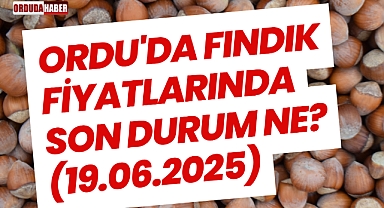 Ordu'da Fındık Fiyatlarında Son Durum Ne? (19.06.2025)