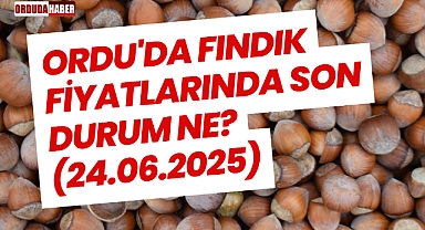 Ordu'da Fındık Fiyatlarında Son Durum Ne? (24.06.2025)