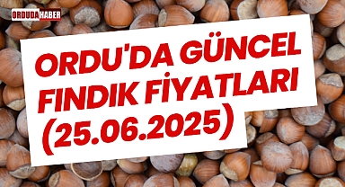 Ordu'da Güncel Fındık Fiyatları (25.06.2025)