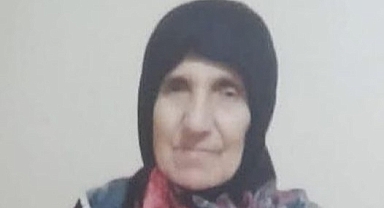 Ordu'da Hafriyat Kamyonunun Çarptığı Kadın Hayatını Kaybetti