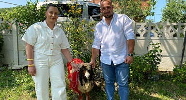 Ordu'da Nişanlısına Süslenmiş Koç Götürdü