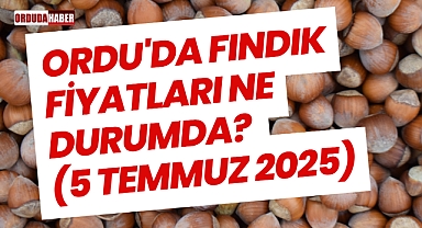 Ordu'da Fındık Fiyatları Ne Durumda? (5 Temmuz 2025)