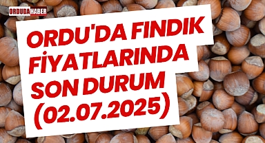 Ordu'da Fındık Fiyatlarında Son Durum (02.07.2025)