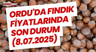Ordu'da Fındık Fiyatlarında Son Durum (8.07.2025)