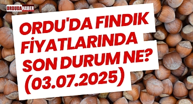 Ordu'da Fındık Fiyatlarında Son Durum Ne? (03.07.2025)