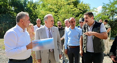 Ordu’da Sahipsiz Sokak Hayvanları İçin Barınak ve Doğal Yaşam Alanları Artıyor