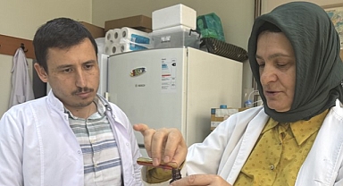 Aronya Doku Hasarına Karşı Doğal Bir Kalkan Olabilir