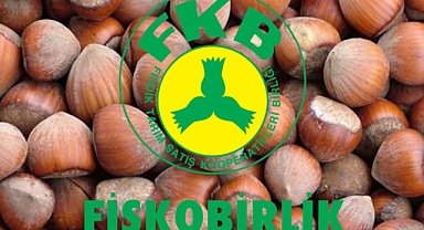 FİSKOBİRLİK Fiyat Artırdı! Fındıkta Gözler Serbest Piyasaya Çevrildi