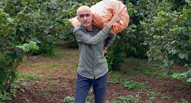Giresun Ziraat Odası Başkanı Karan’dan FİSKOBİRLİK ve TMO’ya Sert Tepki