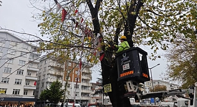 Ordu'da Can ve Mal Güvenliği İçin Ağaçlarda Uzman Eşliğinde Budama Yapılacak