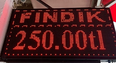 Ordu’da Fındık Fiyatlarında Sert Düşüş