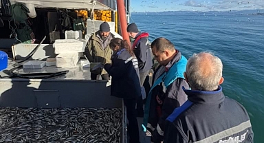 Ordu’da Su Ürünleri Denetimleri Sıklaştı: 8 Kişiye Ceza, 130 Kilogram Balığa El Konuldu