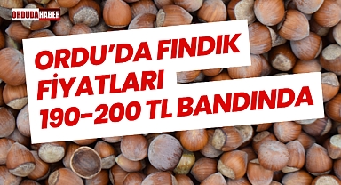 Ordu’da Fındık Fiyatları 190-200 TL Bandında