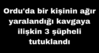 Ordu'da bir kişinin ağır yaralandığı kavgaya ilişkin 3 şüpheli tutuklandı