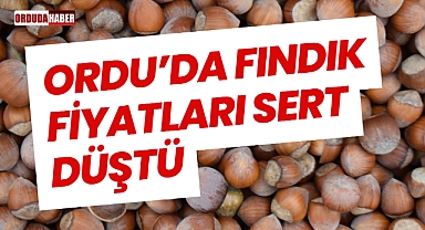Ordu’da Fındık Fiyatları Sert Düştü