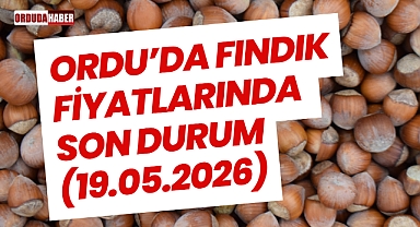 ORDU’DA FINDIK FİYATLARINDA SON DURUM (19.05.2026)