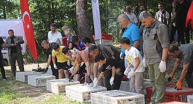Ordu’da Kahverengi Kokarcayla Mücadele: 1600 Sülün Doğaya Bırakıldı