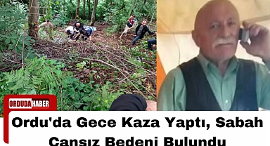 Ordu'da Gece Kaza Yaptı, Sabah Cansız Bedeni Bulundu