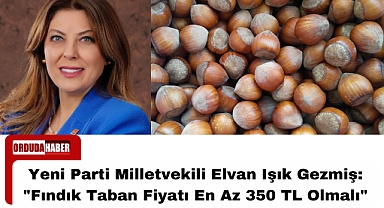 Yeni Parti Milletvekili Elvan Işık Gezmiş: 