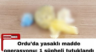 Ordu’da yasaklı madde operasyonu: 1 şüpheli tutuklandı