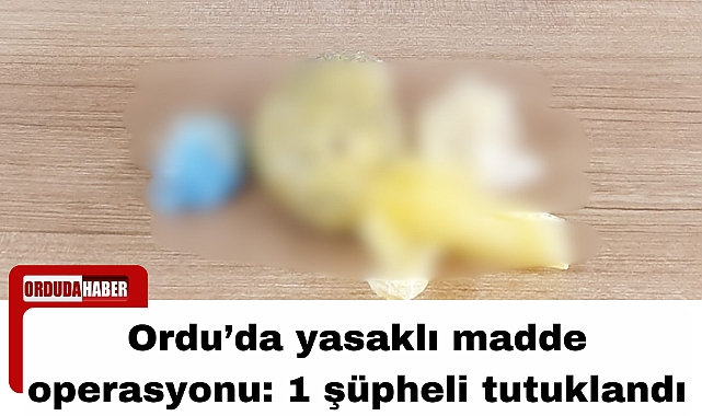Ordu’da yasaklı madde operasyonu: 1 şüpheli tutuklandı
